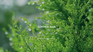 کاور پیانوی Summer Rain از جی فرند