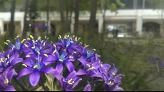 آهنگ بسیار زیبای (رضیت بالله) کودک خوش صدا (کلیپ رحمان)
