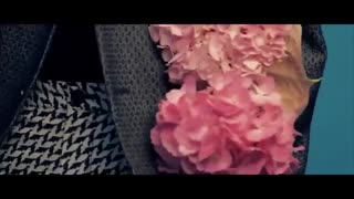 معرفی اعضای اکسو واسه کسایی که تازه اکسو ال شدن