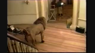 پشت صحنه هایی از ساخت فیلم سینمایی جومانجی Jumanji 1995