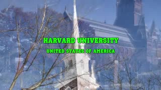 برترین دانشگاه های دنیا