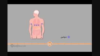 یک ساعت بعد از خوردن نوشابه چه اتفاقی در بدن می افتد؟