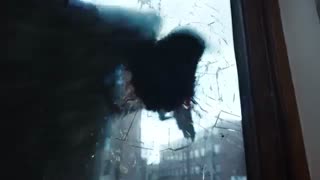 تریلر و دانلود سریال ترسناکThe Exorcist 2016