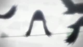 Inuyashiki TV - PV 1