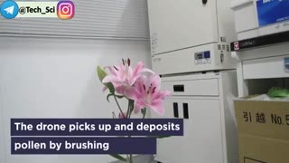 جمعیت زنبورها رو به کاهش است. دانشمندان دست به کار شده و پهپادهای کوچکی ساخته اند که قابلیت گرده افشانی دارند