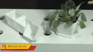 ویدیو آموزش قلمه زدن و تکثیر بنفشه آفریقایی -جدیدHD