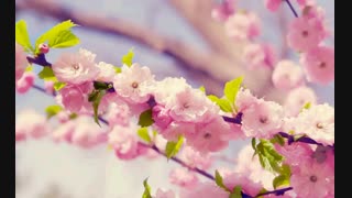 این غروب جمعه بیاین اینجا دعا بخونیم! کپی شده