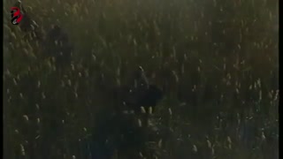 سریال کاروان سربلندی - قسمت چهاردهم payambaranname.blogsky.com