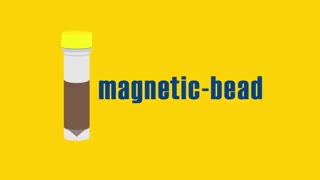 Bioanalysis - Our Service