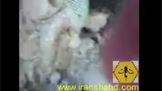 کشف کندوی عسل وحشی کوهی