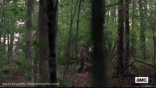 دانلود فصل هشتم 8 سریال The Walking Dead