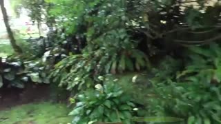 زیبایی های جزیره بالی - اندونزی