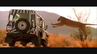 فیلم خارجی و زیبای (طعمه Prey 2007) با دوبله فارسی