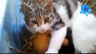 قدرت خداوند