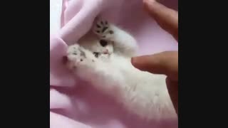 عشق به روایت تصویر