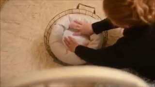 نوزاد در فنجان www.ateliekoodak.com