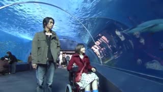 سریال ژاپنی یک لیتر اشک 1 Litre of Tears قسمت نهم با زیرنویس فارسی ( درخواستی مریم )