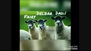 یه سالگی اکانتت مبارک ^^