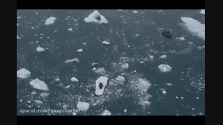 پیانو نوازی در بر روی یخ ها در قطب شمال  برای آب شدن یخ ها- لینک دانلود در توضیحات