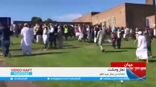 زن انگلیسی با خودرو، مسلمانان را زیر گرفت