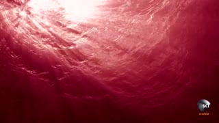 دریاچه ای با رنگ صورتی در استرالیا