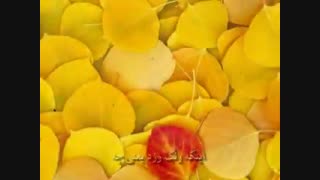 یک روز می فهمی، سروده استاد مرتضی کیوان هاشمی، دکلمه پیام بخشعلی