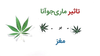 تاثیر ماریجوآنا بر مغز