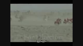 شهادت حضرت عباس (ع)