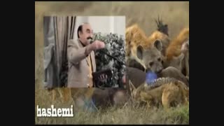 فکر کن سروده استاد مرتضی کیوان هاشمی شعر خوانی انجمن ادبی صایب