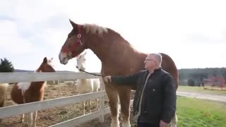 10 حیوان خانگی غیر معمول در جهان