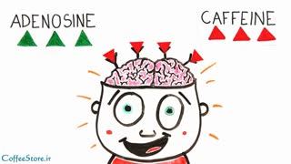 کافئین چیست و  با مغز شما چه می کند؟