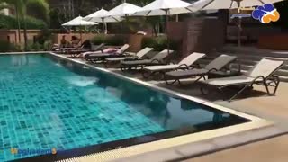 سفر به پاتایا