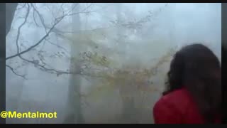 زیبائی های پاییز و زمستان در قاب تصویر