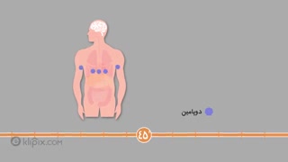 موشن گرافیک - یک ساعت بعد از خوردن نوشابه چه اتفاقاتی در بدن می افتد؟