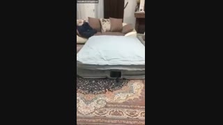 تخت خواب بادی دو نفره