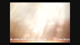 خطبه سروده و دکلمه: استاد مرتضی کیوان هاشمی