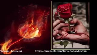 آتش... سروده و دکلمه استاد مرتضی کیوان هاشمی