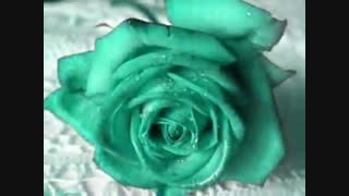 ای صمیمی... سروده: استاد مرتضی کیوان هاشمی  با صدای: محسن شکاری آهنگساز و تنظیم کننده: پویان رمضانی