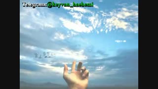 کلیپ شعر خدای گرگها... سروده و دکلمه: استاد مرتضی کیوان هاشمی