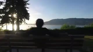 اولین تیزر آلبوم جدید رضا یزدانی با عنوان «درهم»