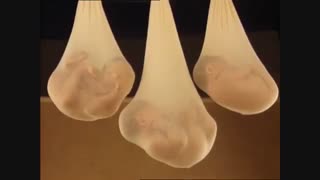 ایده های عکاسی  www.ateliekoodak.com