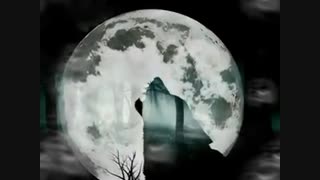 اگر بگذارند...سروده استاد مرتضی کیوان هاشمی