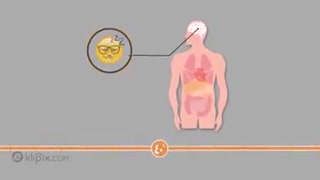 بعد از خوردن یک لیوان نوشابه در بدن چه اتفاقی می‌افتد؟