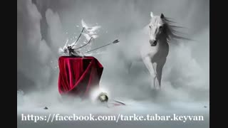 قرار... سروده و دکلمه: استاد مرتضی کیوان هاشمی